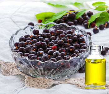 Health Benefits of Black currant Oil