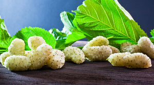 Health benefits of white Mulberry